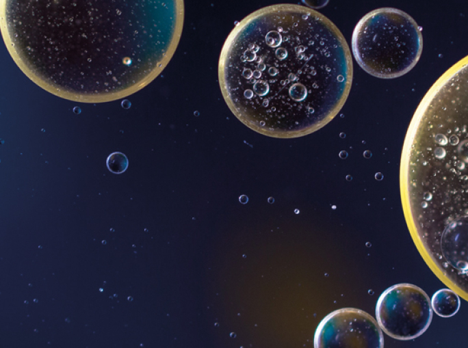 Una sfida partita da lontano