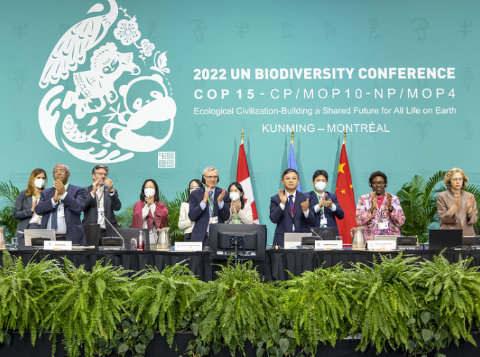 COP15: a Montreal raggiunto accordo storico per la Biodiversità
