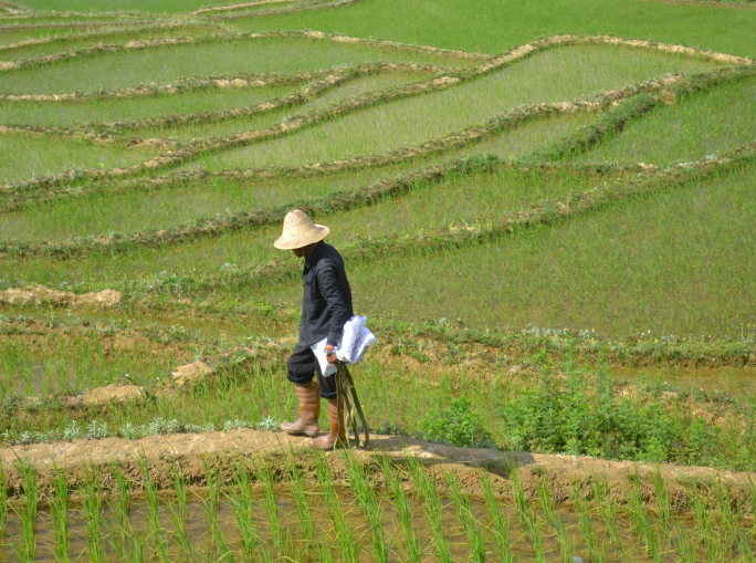 Contro l’erosione, la Cina lancia la campagna del suolo nero