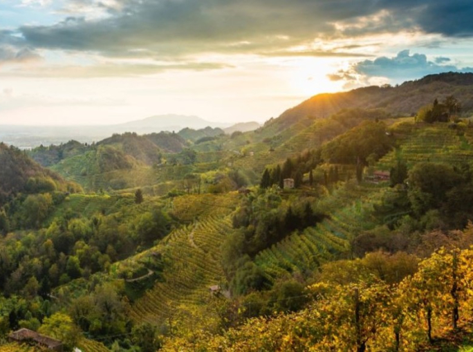 Pacciamatura in Mater-Bi e bioerbicidi per il Prosecco: c’è l’accordo con Novamont