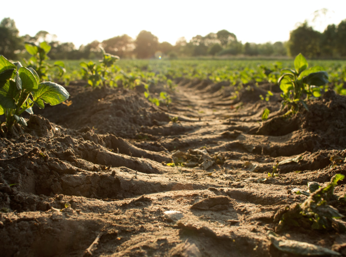 David R. Montgomery: per avanzare dobbiamo guardare in basso 