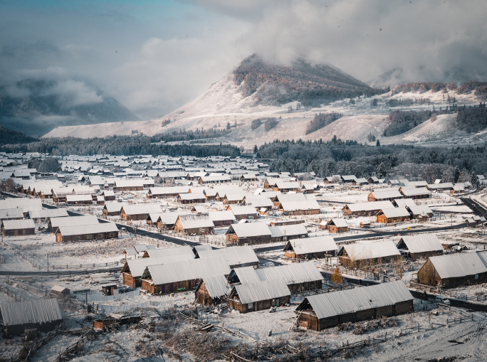 Polysilicon: the Chinese domain that violates Uyghur rights