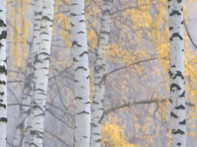 Le mille vite della materia. Ecco come riconvertirla