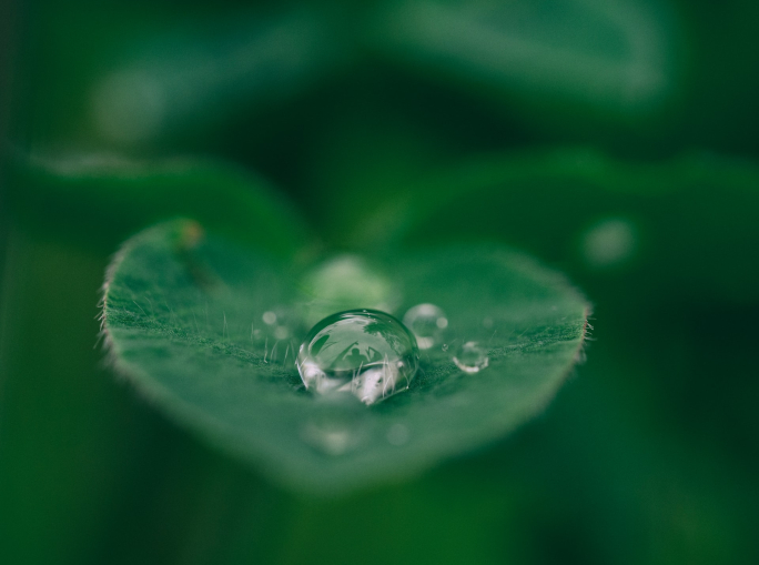 L’acqua che vogliamo: la nuova campagna UNESCO che parte da Venezia