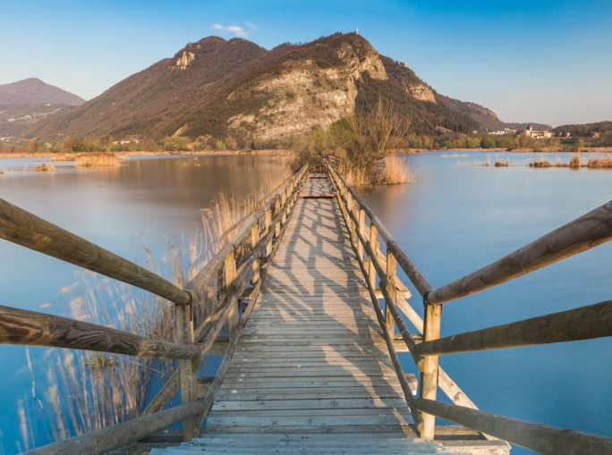 Acque Bresciane, 1.500 alberi per proteggere la biodiversità delle torbiere