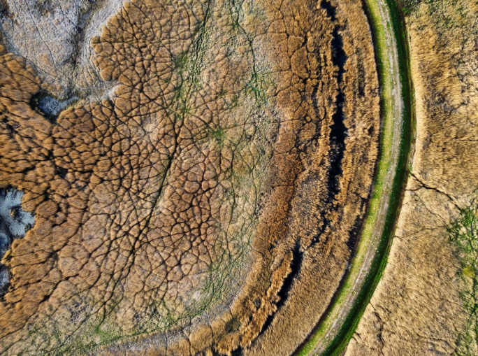 Crisi climatica, danni all’agricoltura per 3.800 miliardi: la prima causa è la siccità