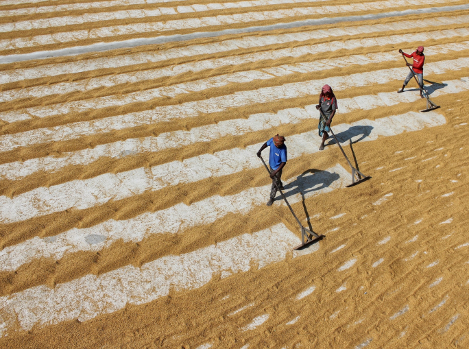 COP27, gli agricoltori chiedono fondi per la sicurezza alimentare