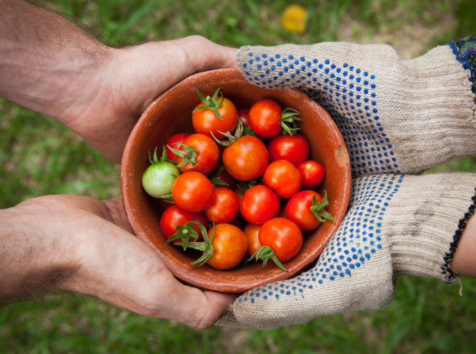 Finanza e sviluppo insieme per creare sistemi alimentari equi e sostenibili