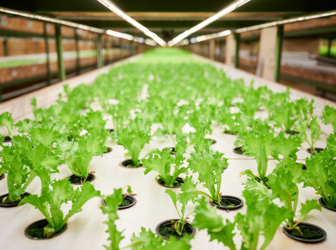 Back to the Circular: l’agricoltura circolare che guarda al futuro