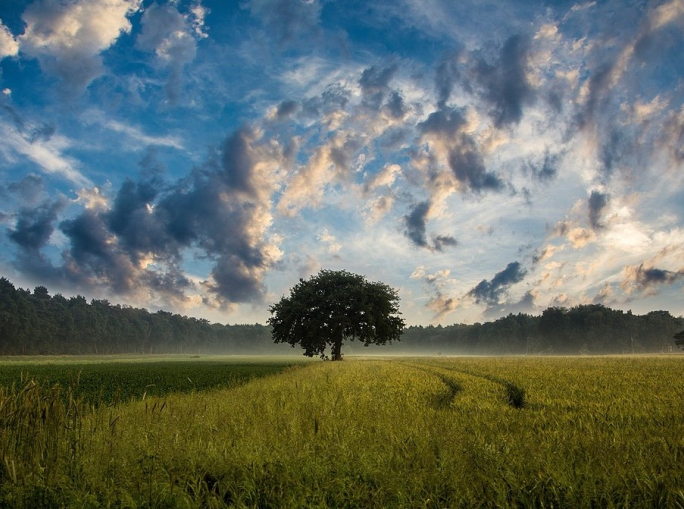 EROC: a Parma l’avamposto europeo dell’agricoltura rigenerativa