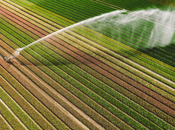 Resilienza, acqua, sicurezza alimentare: l’agricoltura alla sfida del clima