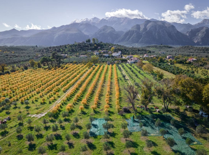 Agricoltura rigenerativa, pubblicato lo studio più ampio al mondo