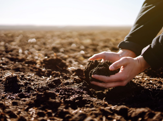 Agricoltura rigenerativa: il Landbanking Group inserisce la natura nel bilancio aziendale
