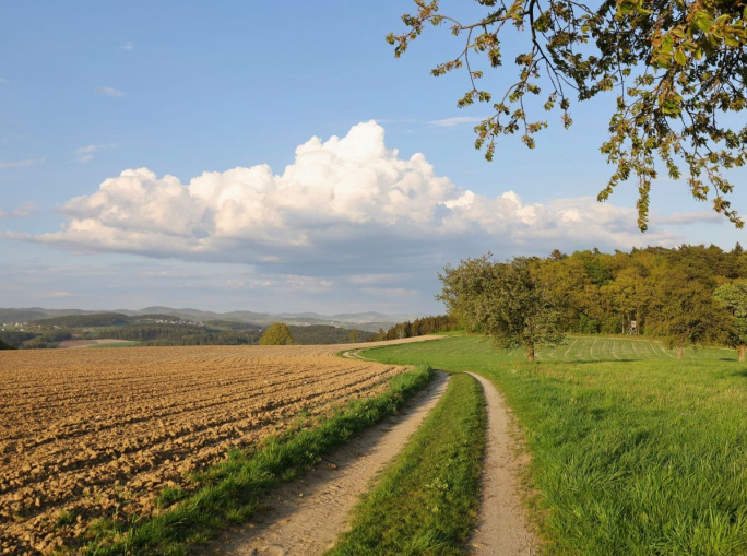 Agricoltura rigenerativa e defiscalizzazione: il CESE traccia la rotta per l’Europa
