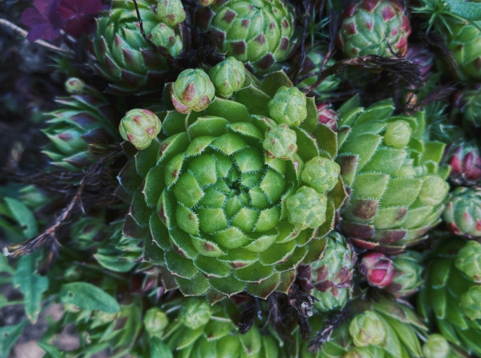 Bioeconomia in Italia, fattore di innovazione e resilienza per le imprese