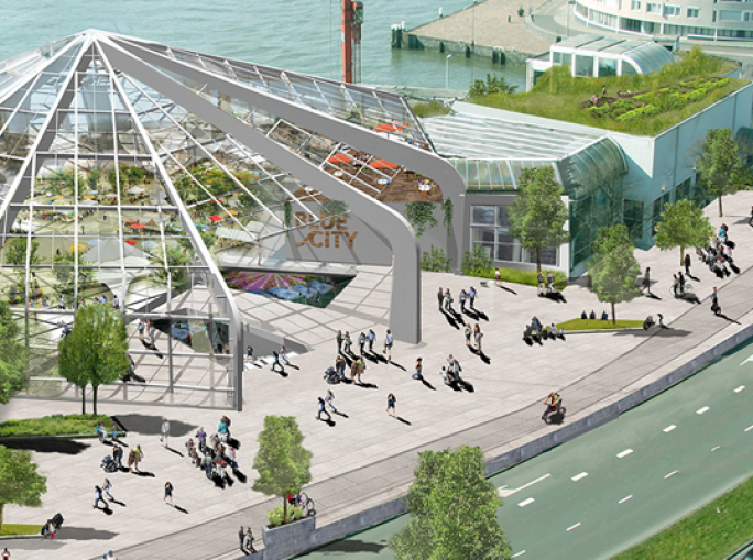 The Blue Revolution Playground