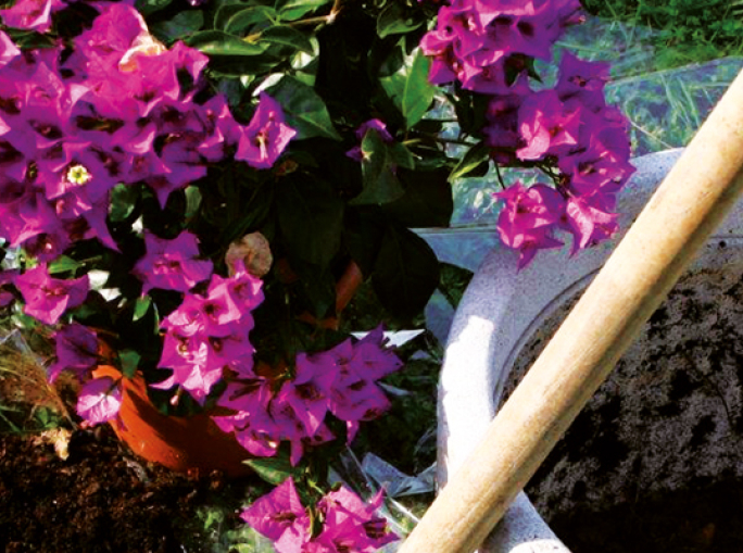 Italia: la rimonta del compost