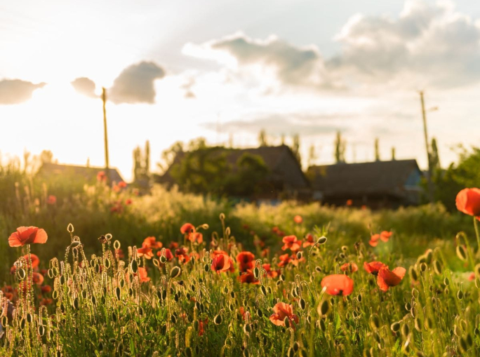 La transizione ecologica arriva dai territori