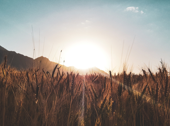 Biocarburanti, dal G20 di Nuova Delhi nasce la Global Biofuel Alliance