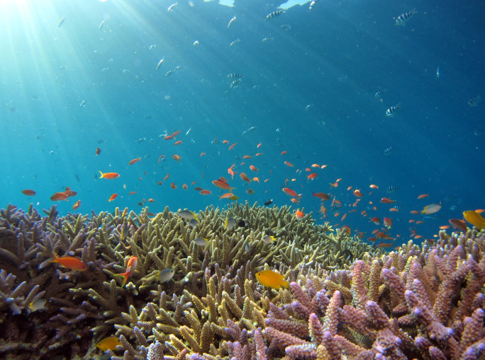 Se vogliamo proteggere la biodiversità, non c’è più margine d’errore