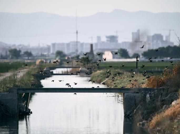 Biodiversità, oltre 1 consumatore su 2 chiede alle aziende di tutelare gli ecosistemi