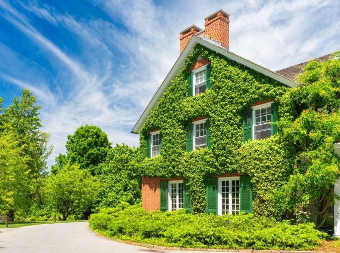 Biodiversità in città, come misurarne l’impatto positivo