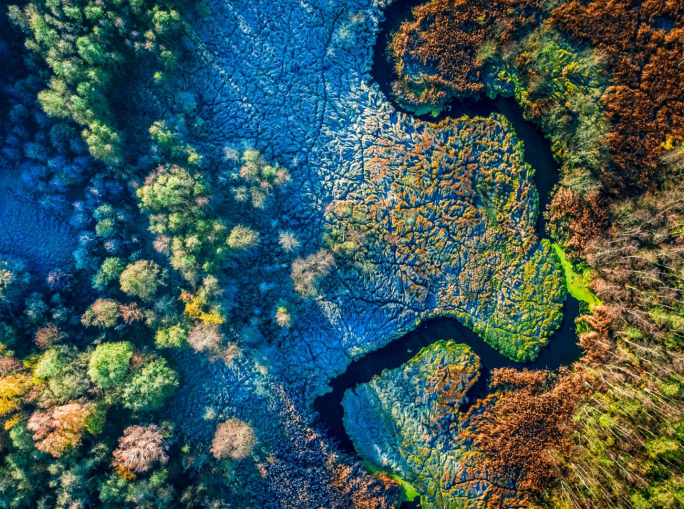 Il PIL da solo non salverà la natura, e nemmeno l’economia