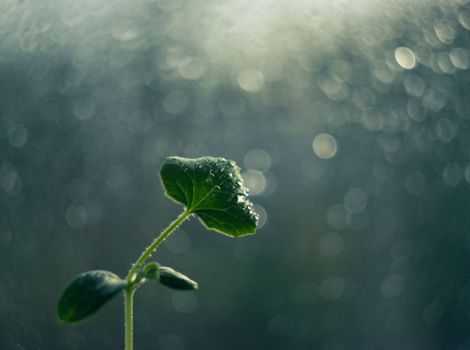 Tutte le strade della bioeconomia: a Ravenna torna il Bioeconomy Day
