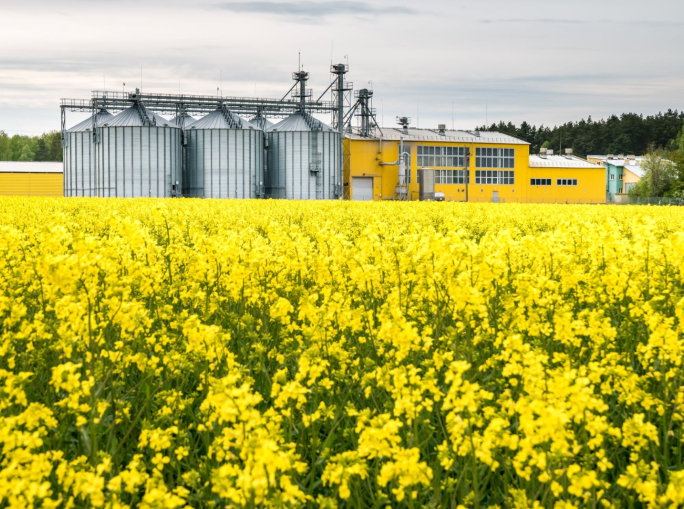 Bioeconomia: la natura offre più soluzioni di quante ne possiamo immaginare