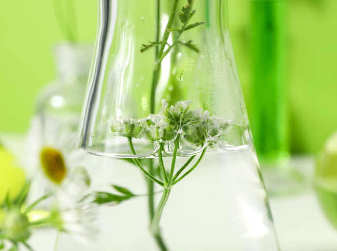 Nono Rapporto sulla Bioeconomia: settore in crescita in Italia e in Europa