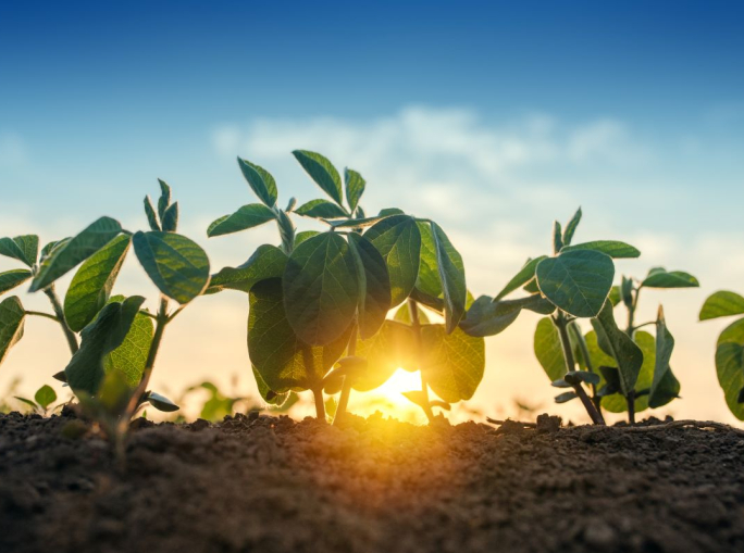 BioInvestIT 2026, capitali e ricerca per la bioeconomia