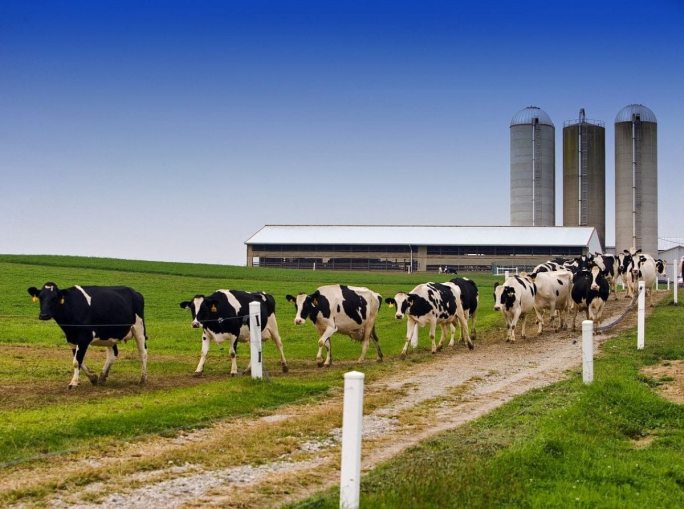 Biomethane, energy from circularity