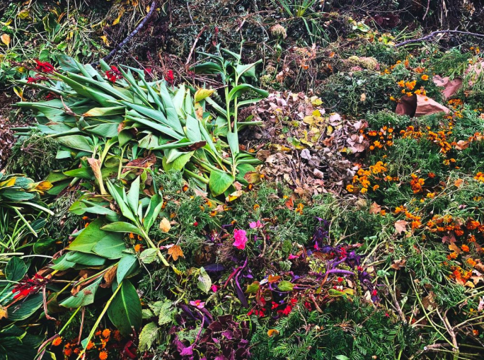 Biowaste tra ripresa e resilienza: ecco perché il rifiuto organico è strategico per la decarbonizzazione