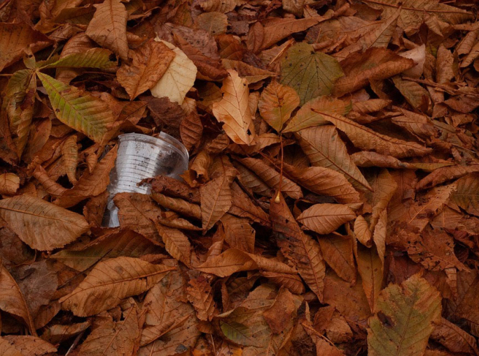 Conferenze di Rete Ambiente: il 10 giugno si parla di biowaste con il Consorzio Italiano Compostatori