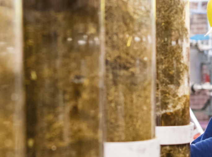 The Bio Base Europe Pilot Plant