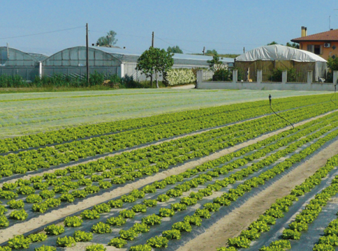 Agriculture's Second Green Life