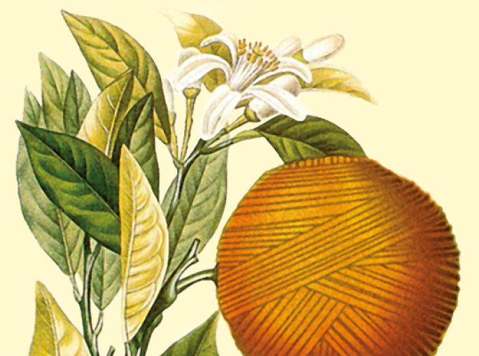 Southern Italy Restarts from Green Chemistry