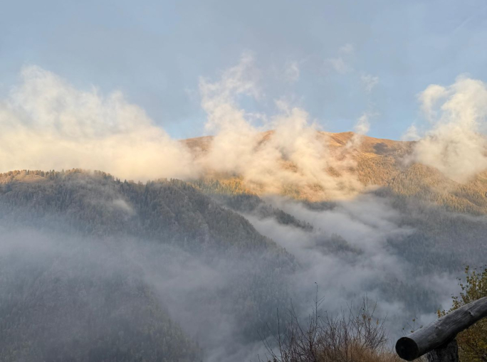 Caccia e biodiversità, la proposta di Fondazione UNA