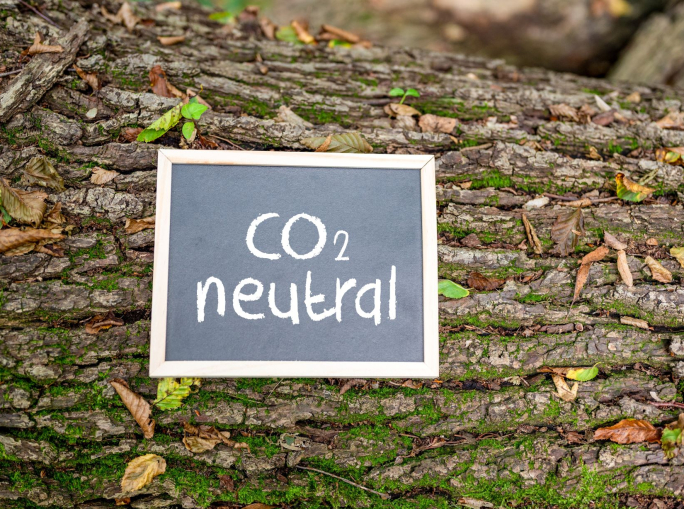 Gruppo CAP, carbon neutral grazie a progetti in India, Cina e Madagascar