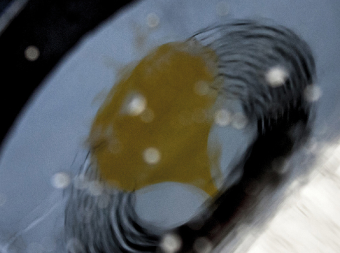 Used Oil: 30 Years 	of Green Economy