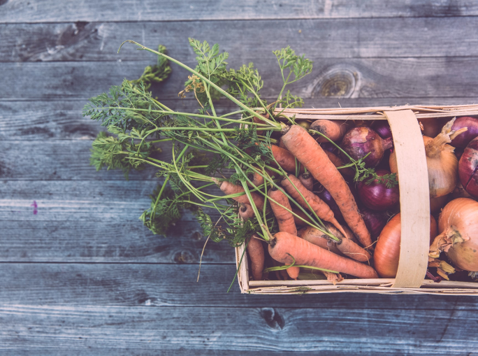 More Shadows Than Light on the Future of Food in Europe