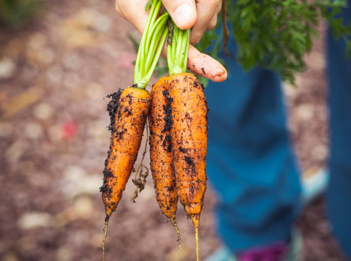 Al Salone del Gusto, il B2B Circular Economy for Food