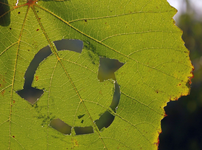 Fondazione Cogeme festeggia i 20 anni e premia l’economia circolare