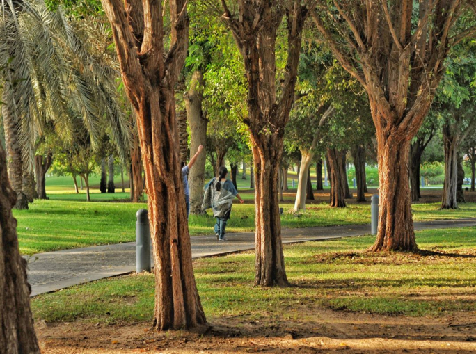 Città, ecosistemi e biodiversità