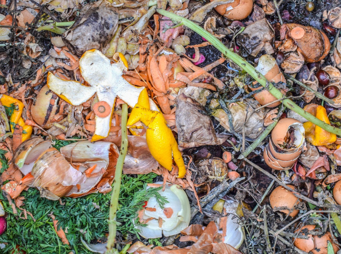 Frazione organica: qualità da migliorare, ma il biometano può ridurre lo stress energetico