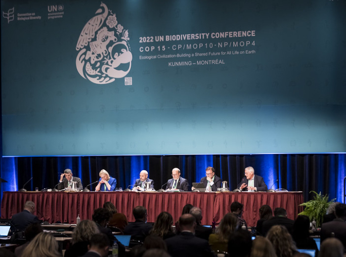 COP15 in stallo: chi deve pagare per proteggere la biodiversità?