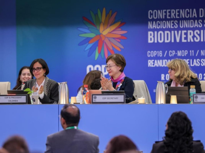 COP16 bis, 200 miliardi di dollari per la natura e come mobilizzarli