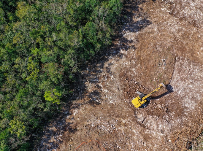 COP16 bis, ancora lontano il target Biodiversità 30 by 30
