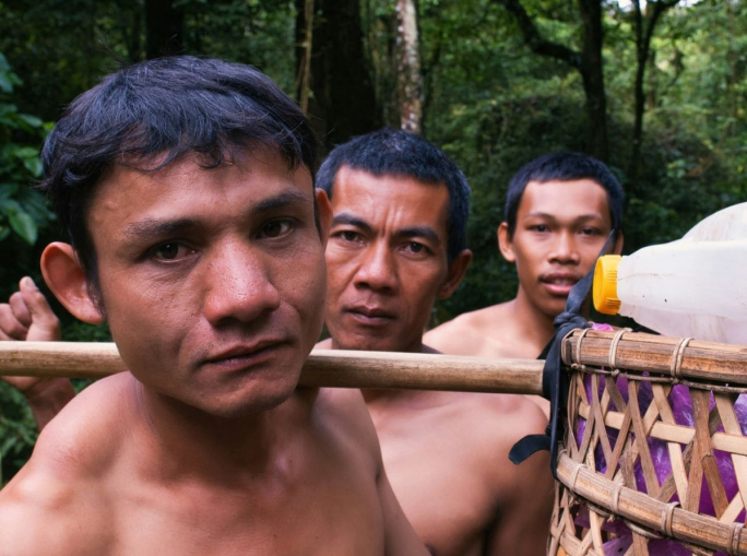 COP30: Time to act for the defenders of the planet