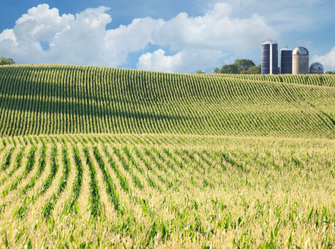 Bioeconomy day 2024, il 23 maggio è la giornata nazionale della bioeconomia